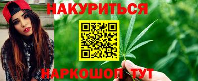 стаф Новодвинск