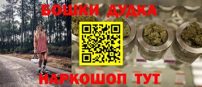 стаф Новодвинск