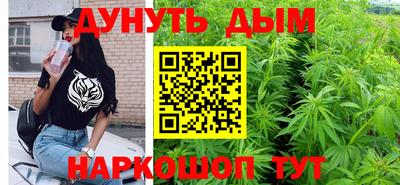 стаф Новодвинск