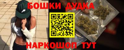 стаф Новодвинск
