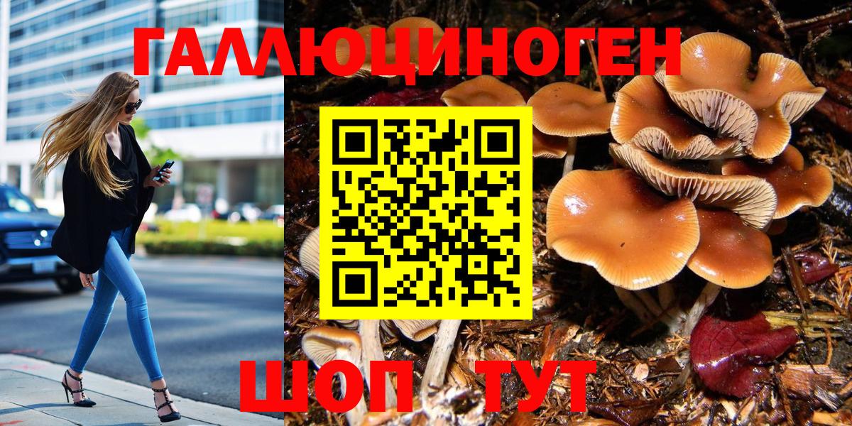 Галлюциногенные грибы GOLDEN TEACHER Тверь