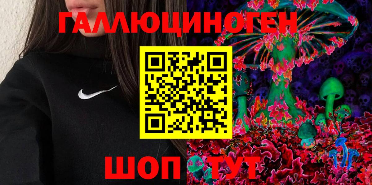 Тверь  Галлюциногенные грибы GOLDEN TEACHER  Вход с VPN  Псилоцибиновые грибы GOLDEN TEACHER 